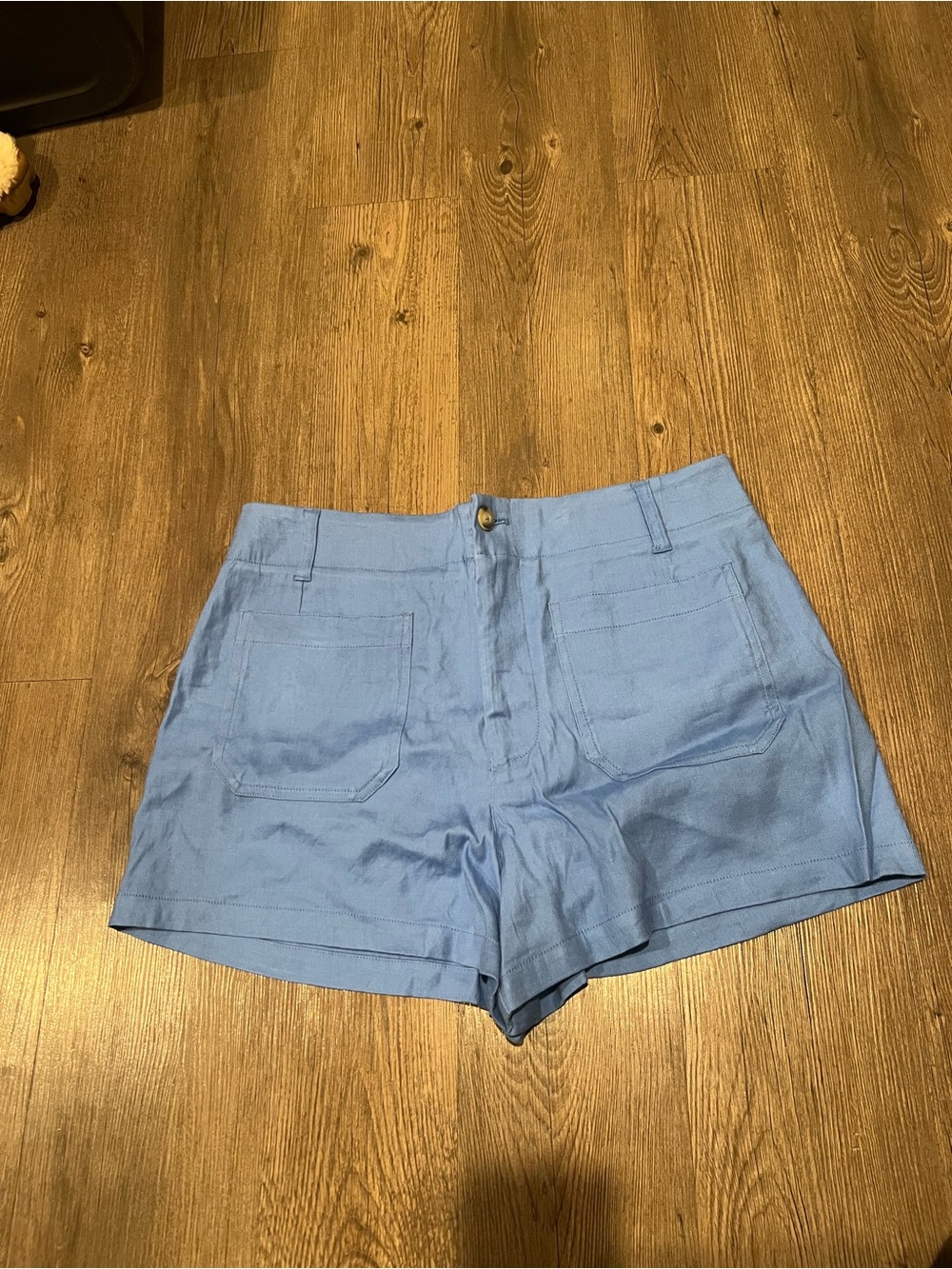 Maeve by Anthropologie Collette blue Women’s Shorts size 32